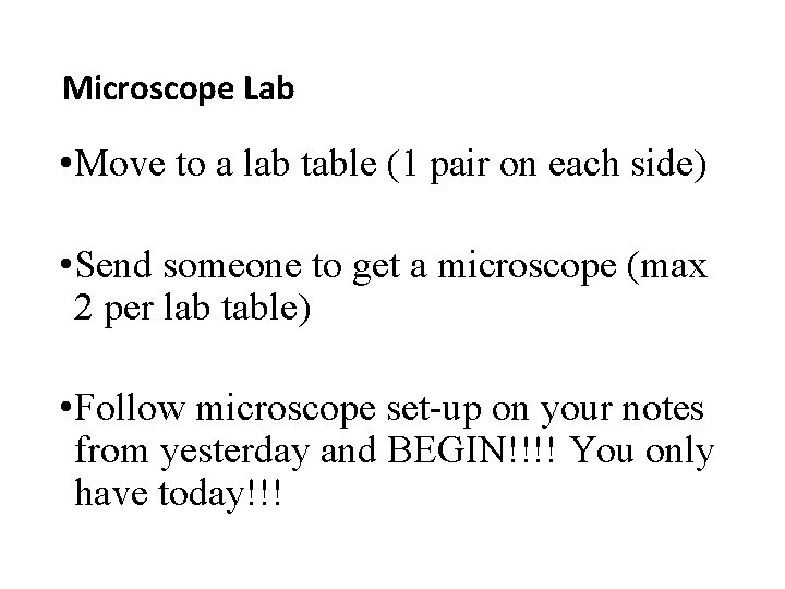 Microscope Lab • Move to a lab table (1 pair on each side) •