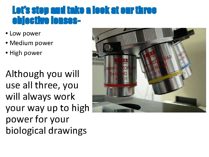 Let’s stop and take a look at our three objective lenses • Low power