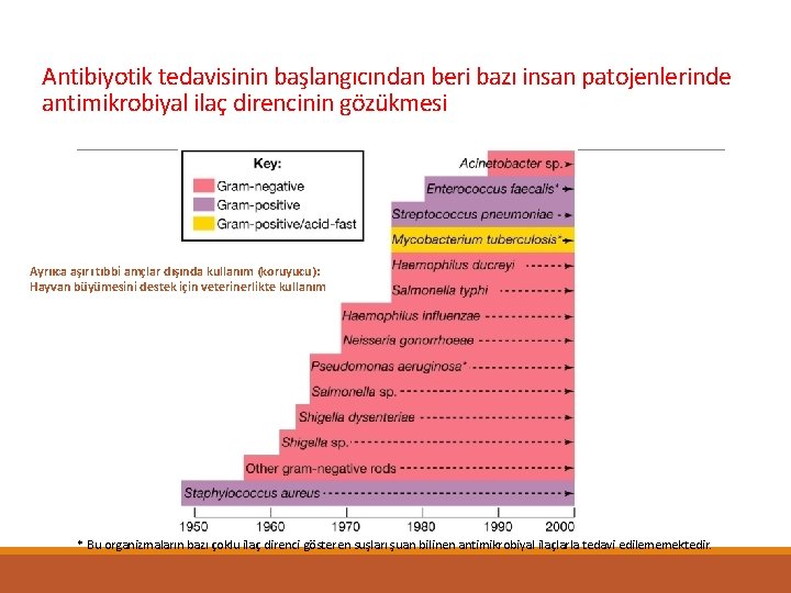 Antibiyotik tedavisinin başlangıcından beri bazı insan patojenlerinde antimikrobiyal ilaç direncinin gözükmesi Ayrııca aşırı tıbbi