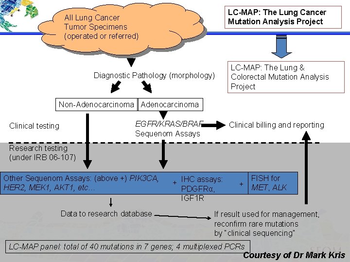 LC-MAP: The Lung Cancer Mutation Analysis Project All Lung Cancer Tumor Specimens (operated or