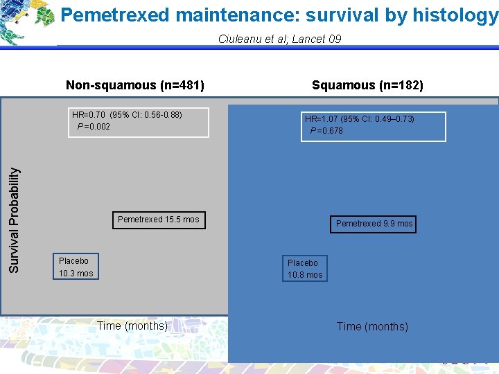 Pemetrexed maintenance: survival by histology Ciuleanu et al; Lancet 09 Non-squamous (n=481) Survival Probability
