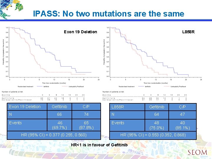 IPASS: No two mutations are the same Exon 19 Deletion N Events L 858
