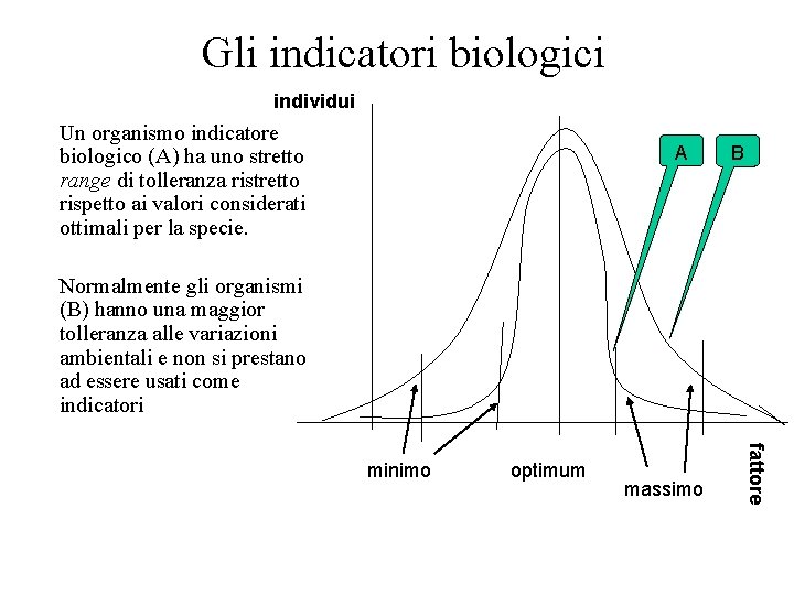 Gli indicatori biologici individui Un organismo indicatore biologico (A) ha uno stretto range di