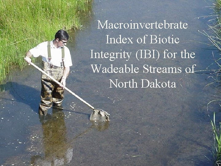 Macroinvertebrate Index of Biotic Integrity (IBI) for the Wadeable Streams of North Dakota 