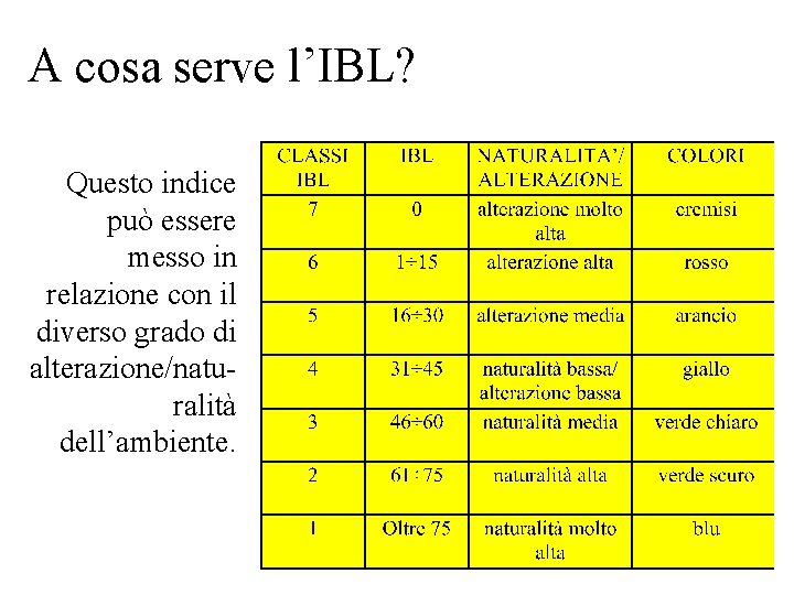 A cosa serve l’IBL? Questo indice può essere messo in relazione con il diverso