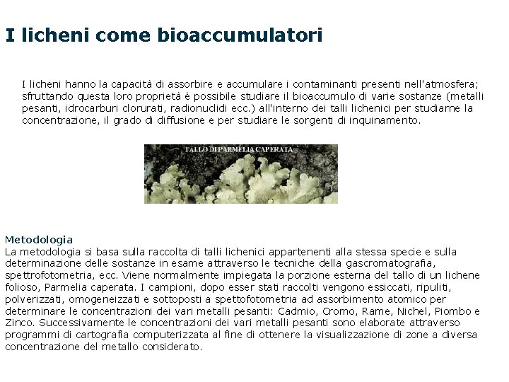 I licheni come bioaccumulatori I licheni hanno la capacità di assorbire e accumulare i