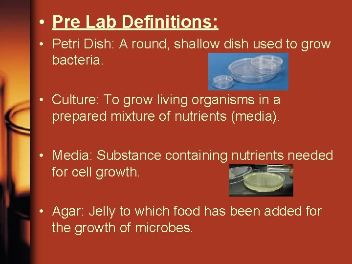  • Pre Lab Definitions: • Petri Dish: A round, shallow dish used to