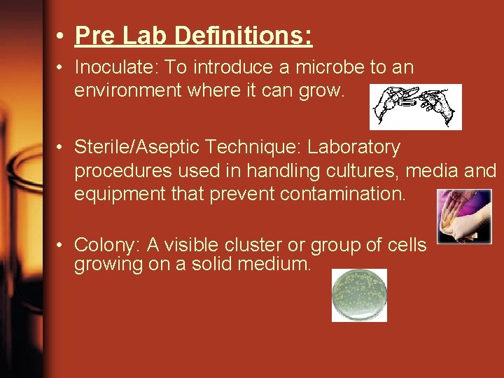  • Pre Lab Definitions: • Inoculate: To introduce a microbe to an environment