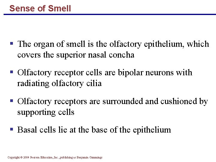 Sense of Smell § The organ of smell is the olfactory epithelium, which covers