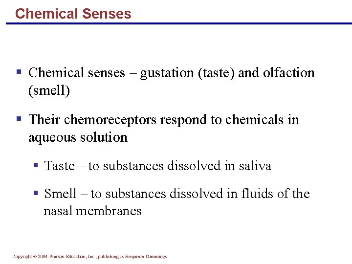 Chemical Senses § Chemical senses – gustation (taste) and olfaction (smell) § Their chemoreceptors