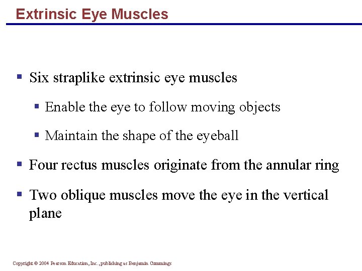 Extrinsic Eye Muscles § Six straplike extrinsic eye muscles § Enable the eye to