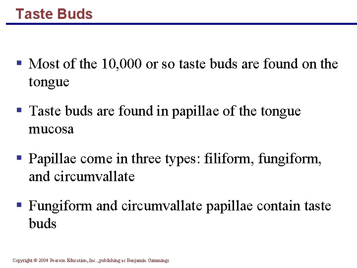 Taste Buds § Most of the 10, 000 or so taste buds are found