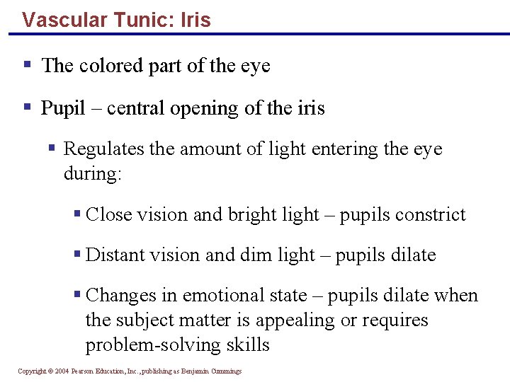 Vascular Tunic: Iris § The colored part of the eye § Pupil – central