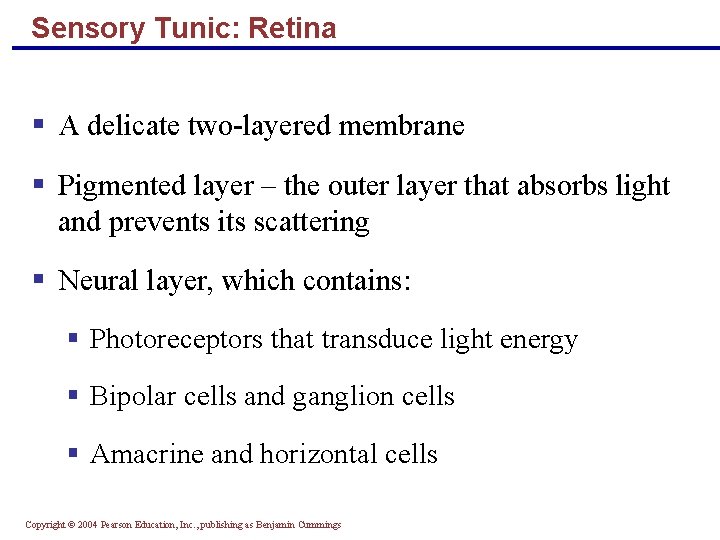 Sensory Tunic: Retina § A delicate two-layered membrane § Pigmented layer – the outer