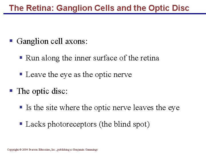 The Retina: Ganglion Cells and the Optic Disc § Ganglion cell axons: § Run