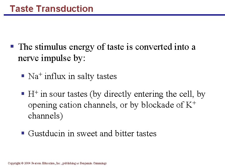 Taste Transduction § The stimulus energy of taste is converted into a nerve impulse