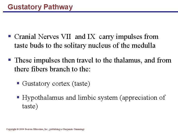 Gustatory Pathway § Cranial Nerves VII and IX carry impulses from taste buds to