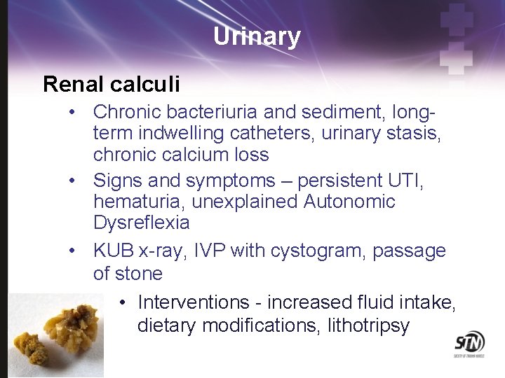 Urinary Renal calculi • Chronic bacteriuria and sediment, longterm indwelling catheters, urinary stasis, chronic