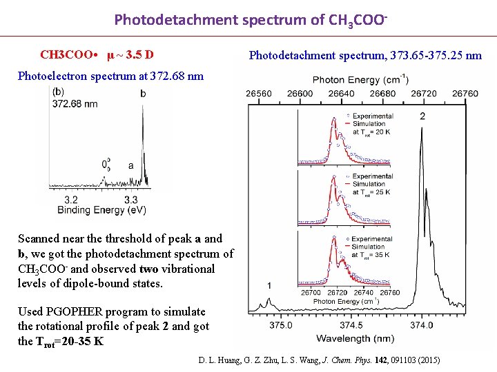 Photodetachment spectrum of CH 3 COO • μ ~ 3. 5 D Photodetachment spectrum,