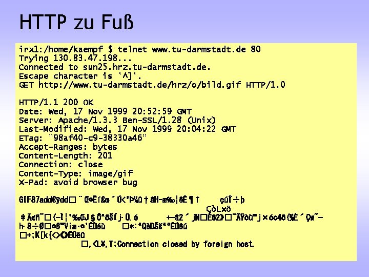HTTP zu Fuß irx 1: /home/kaempf $ telnet www. tu-darmstadt. de 80 Trying 130.