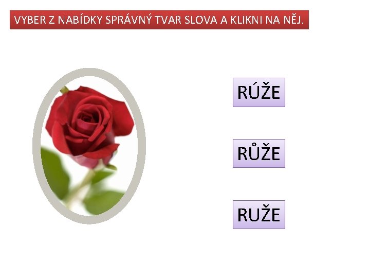 VYBER Z NABÍDKY SPRÁVNÝ TVAR SLOVA A KLIKNI NA NĚJ. RÚŽE RŮŽE RUŽE 