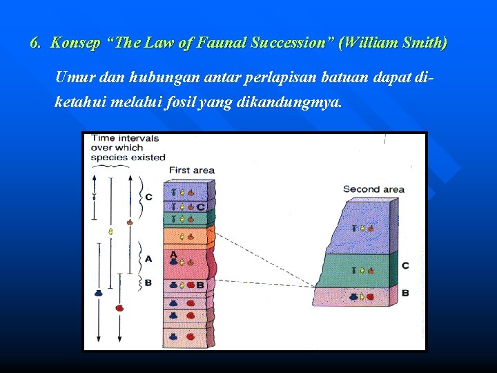 6. Konsep “The Law of Faunal Succession” (William Smith) Umur dan hubungan antar perlapisan