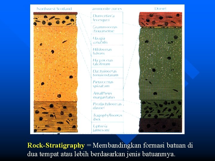 Rock-Stratigraphy = Membandingkan formasi batuan di dua tempat atau lebih berdasarkan jenis batuanmya. 