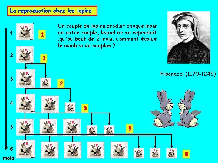 La reproduction chez les lapins 1 2 3 4 5 6 mois 1 Un