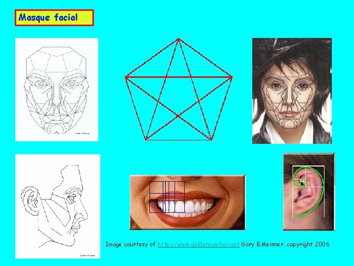 Masque facial Image courtesy of http: //www. goldennumber. net Gary B. Meisner, copyright 2006