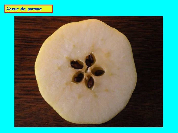 Coeur de pomme 