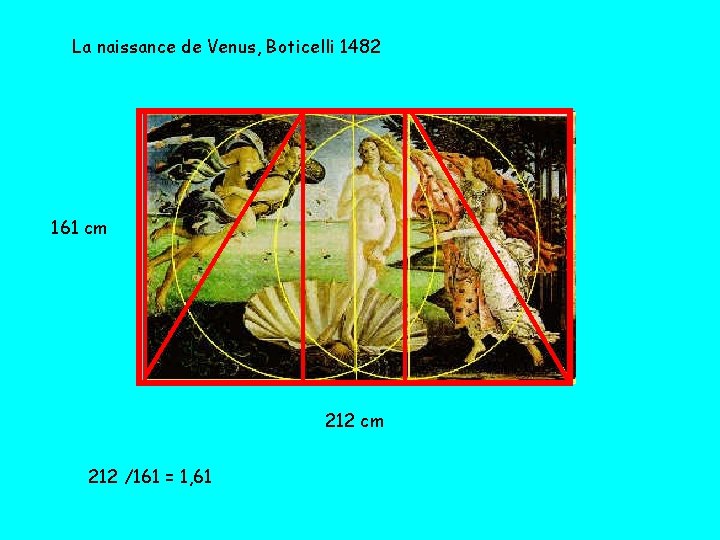 La naissance de Venus, Boticelli 1482 161 cm 212 /161 = 1, 61 