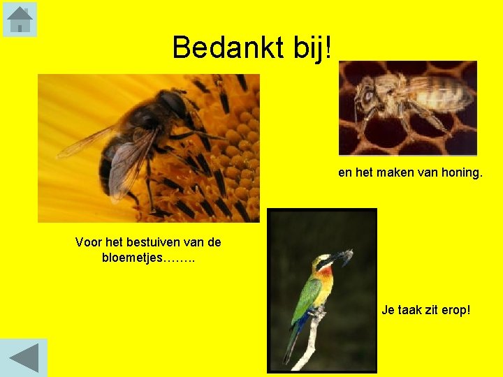 Bedankt bij! en het maken van honing. Voor het bestuiven van de bloemetjes……. .