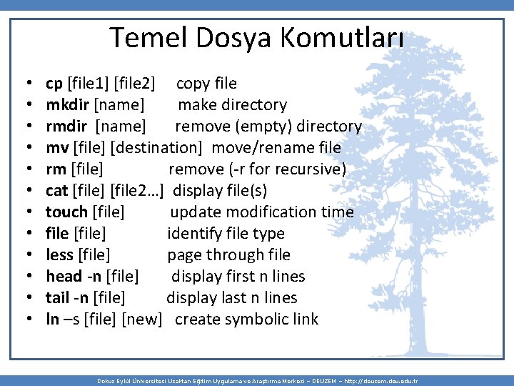 Temel Dosya Komutları • • • cp [file 1] [file 2] copy file mkdir