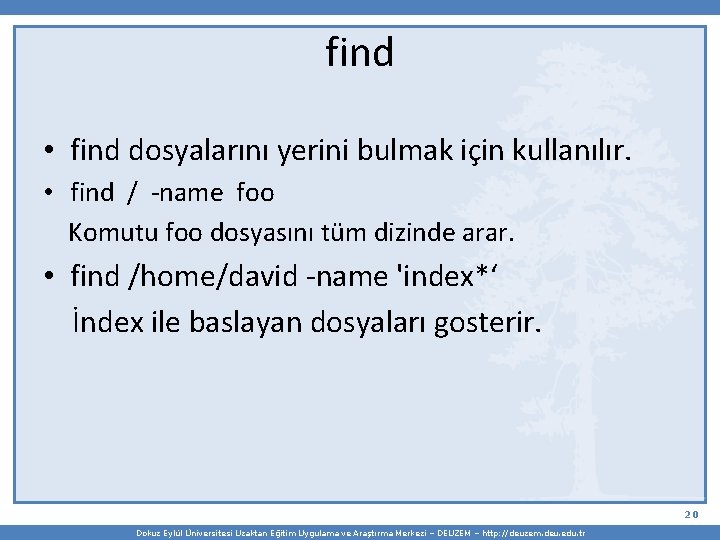 find • find dosyalarını yerini bulmak için kullanılır. • find / -name foo Komutu