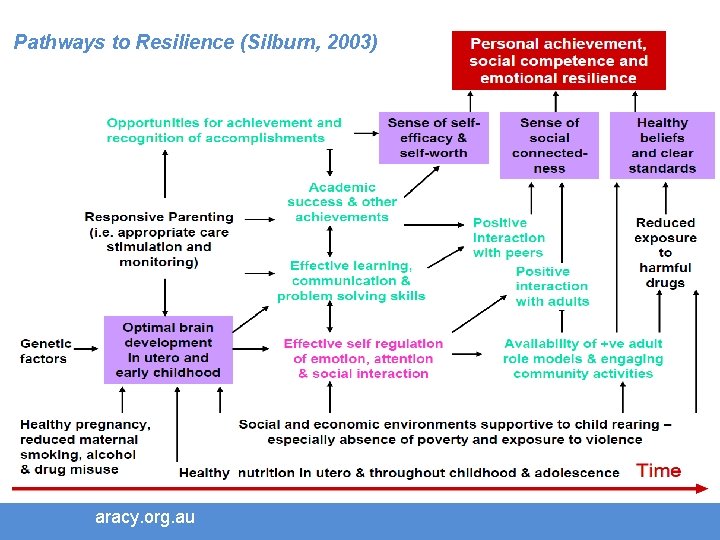 Pathways to Resilience (Silburn, 2003) aracy. org. au 