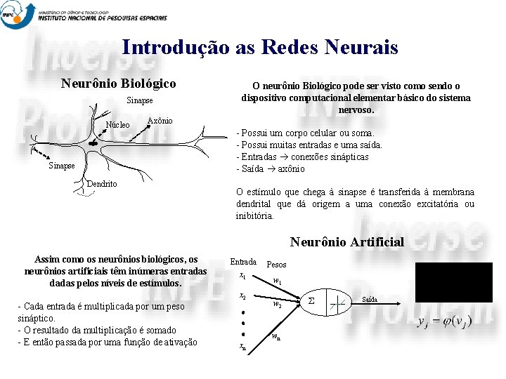 Introdução as Redes Neurais Neurônio Biológico Sinapse Núcleo O neurônio Biológico pode ser visto