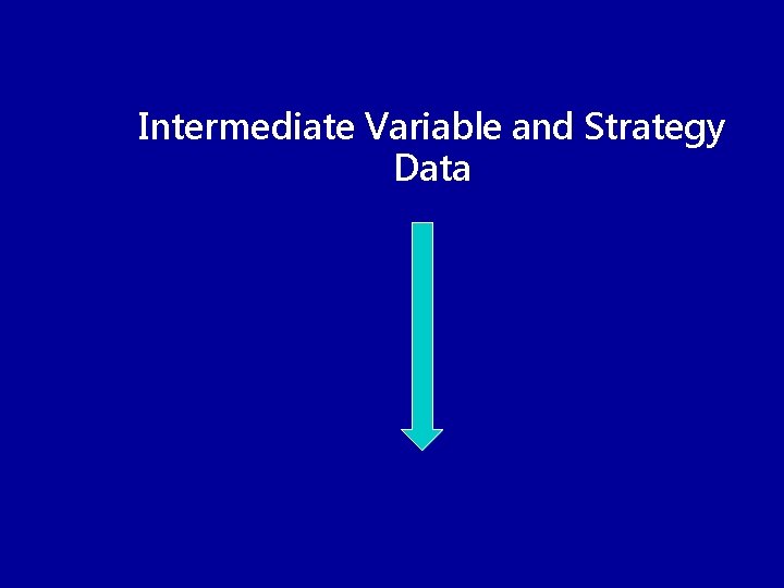 Intermediate Variable and Strategy Data 