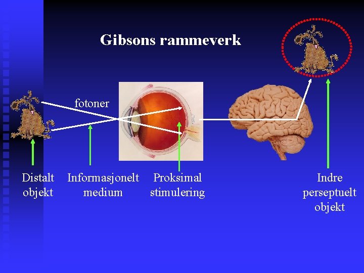 Gibsons rammeverk fotoner Distalt Informasjonelt Proksimal objekt medium stimulering Indre perseptuelt objekt 