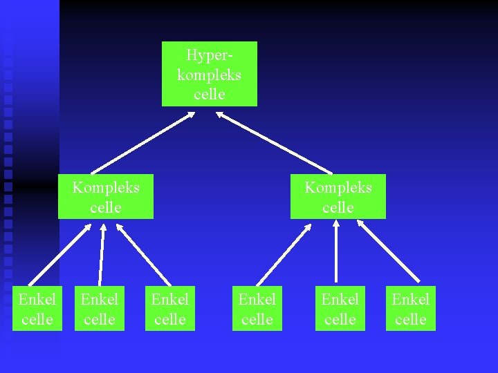 Hyperkompleks celle Kompleks celle Enkel celle Enkel celle 