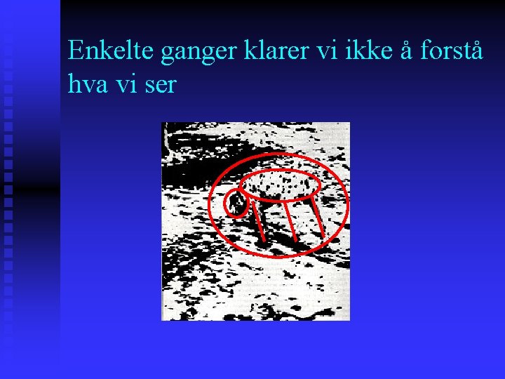 Enkelte ganger klarer vi ikke å forstå hva vi ser 