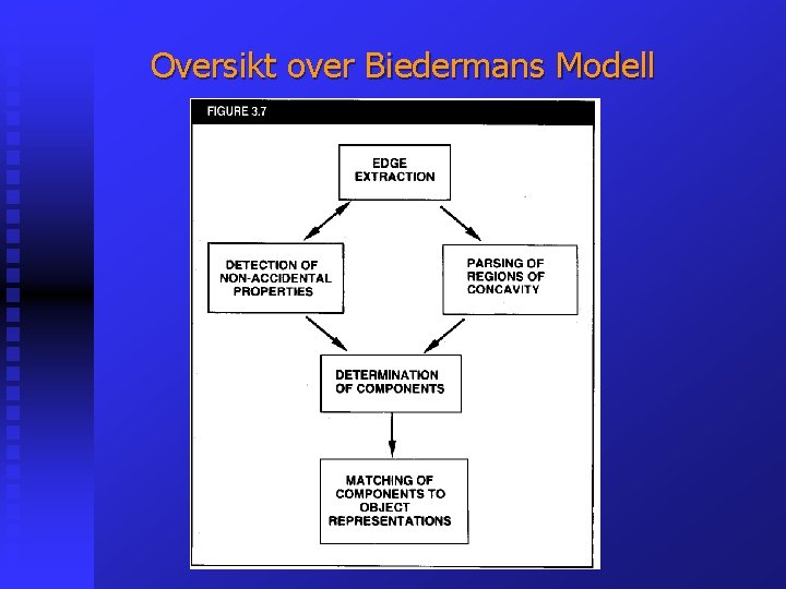 Oversikt over Biedermans Modell 