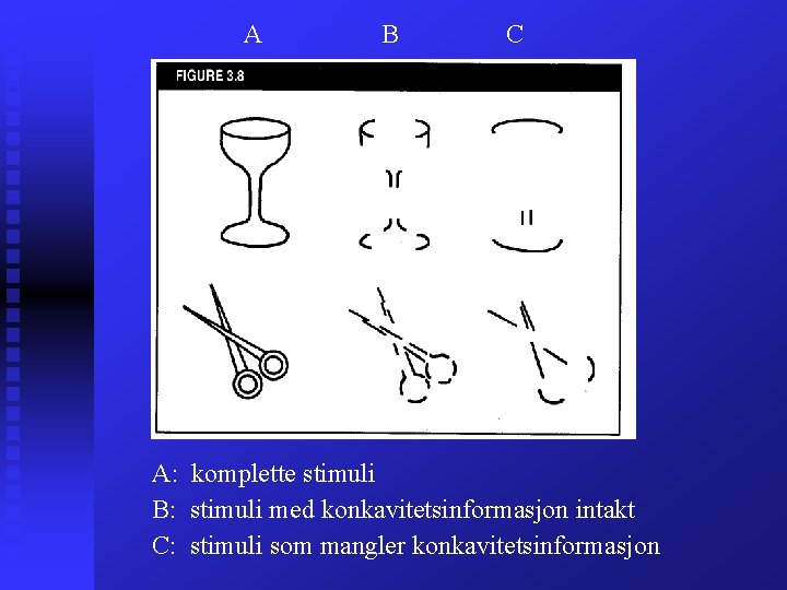 A B C A: komplette stimuli B: stimuli med konkavitetsinformasjon intakt C: stimuli som