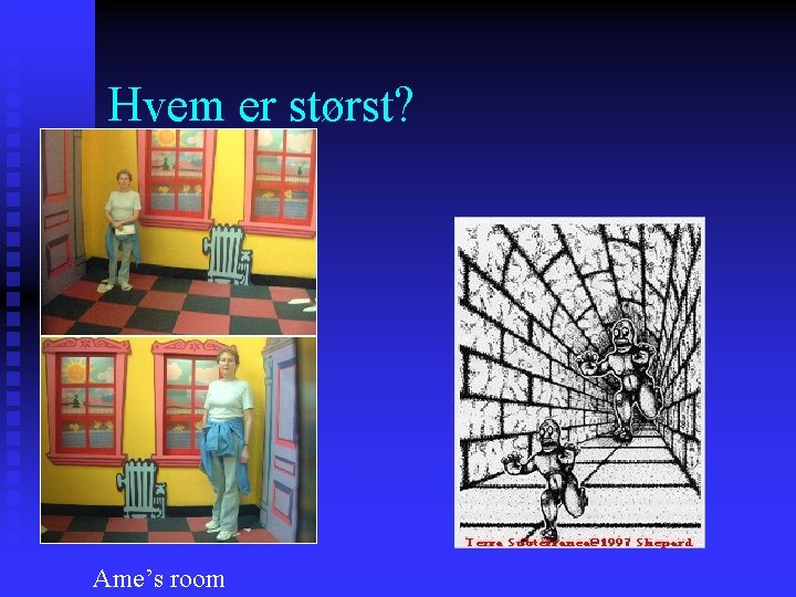 Hvem er størst? Ame’s room 