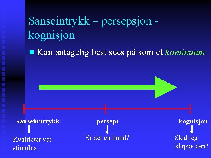 Sanseintrykk – persepsjon - kognisjon n Kan antagelig best sees på som et kontinuum