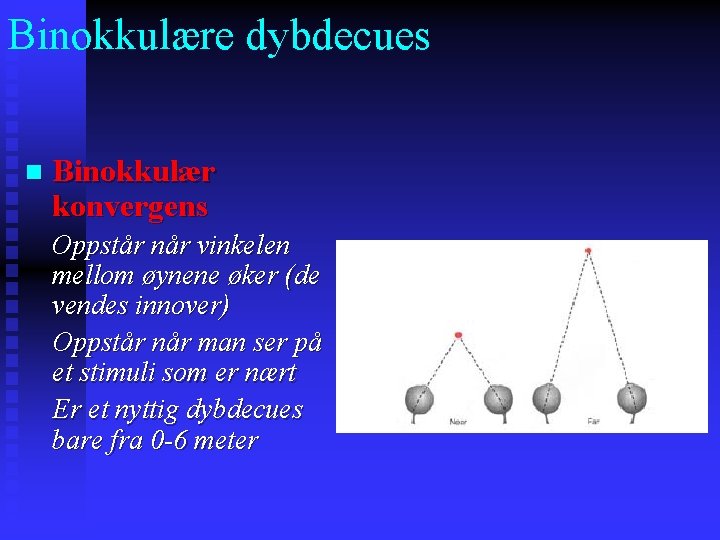 Binokkulære dybdecues n Binokkulær konvergens Oppstår når vinkelen mellom øynene øker (de vendes innover)