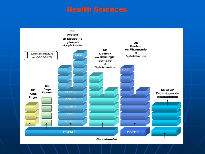 Health Sciences 