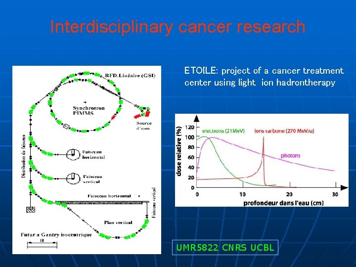 Interdisciplinary cancer research ETOILE: project of a cancer treatment center using light ion hadrontherapy
