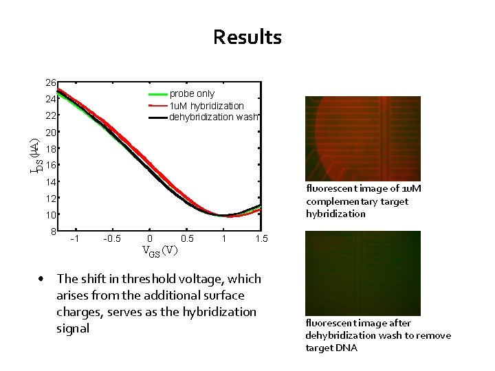 Results 26 probe only 1 u. M hybridization dehybridization wash 24 22 IDS (