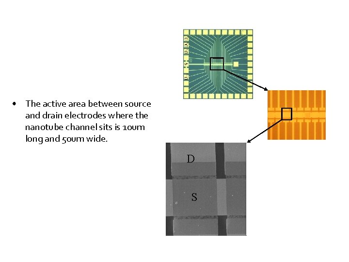  • The active area between source and drain electrodes where the nanotube channel