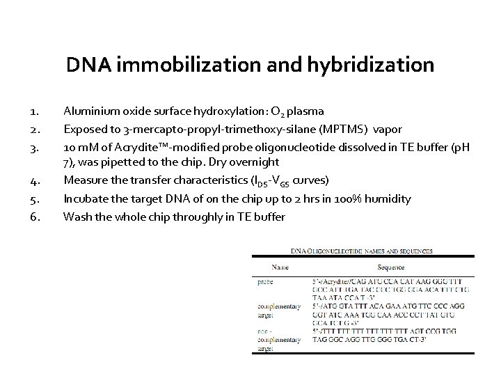 DNA immobilization and hybridization 1. 2. 3. 4. 5. 6. Aluminium oxide surface hydroxylation: